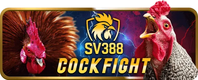 Ưu đãi và tiền thưởng độc quyền cho thành viên VIP